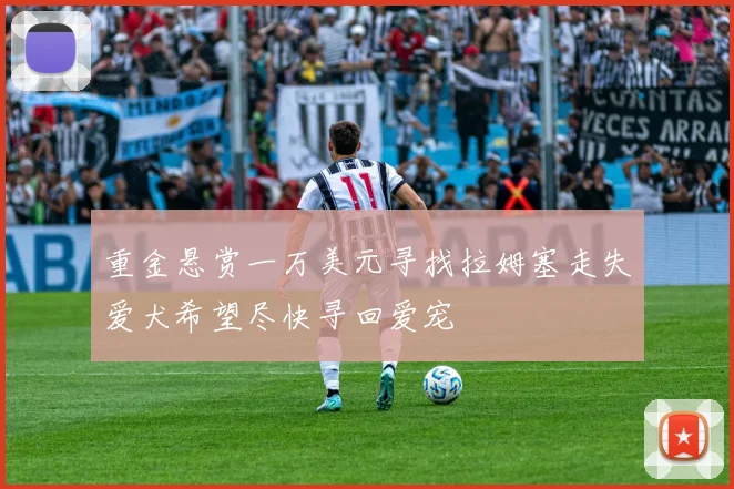 重金悬赏一万美元寻找拉姆塞走失爱犬希望尽快寻回爱宠