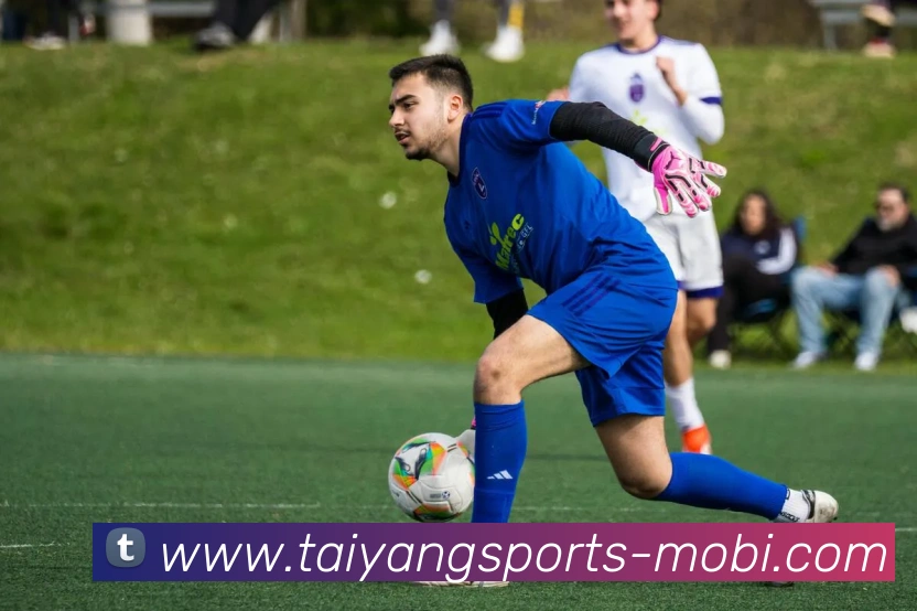 太阳城APP 封面图